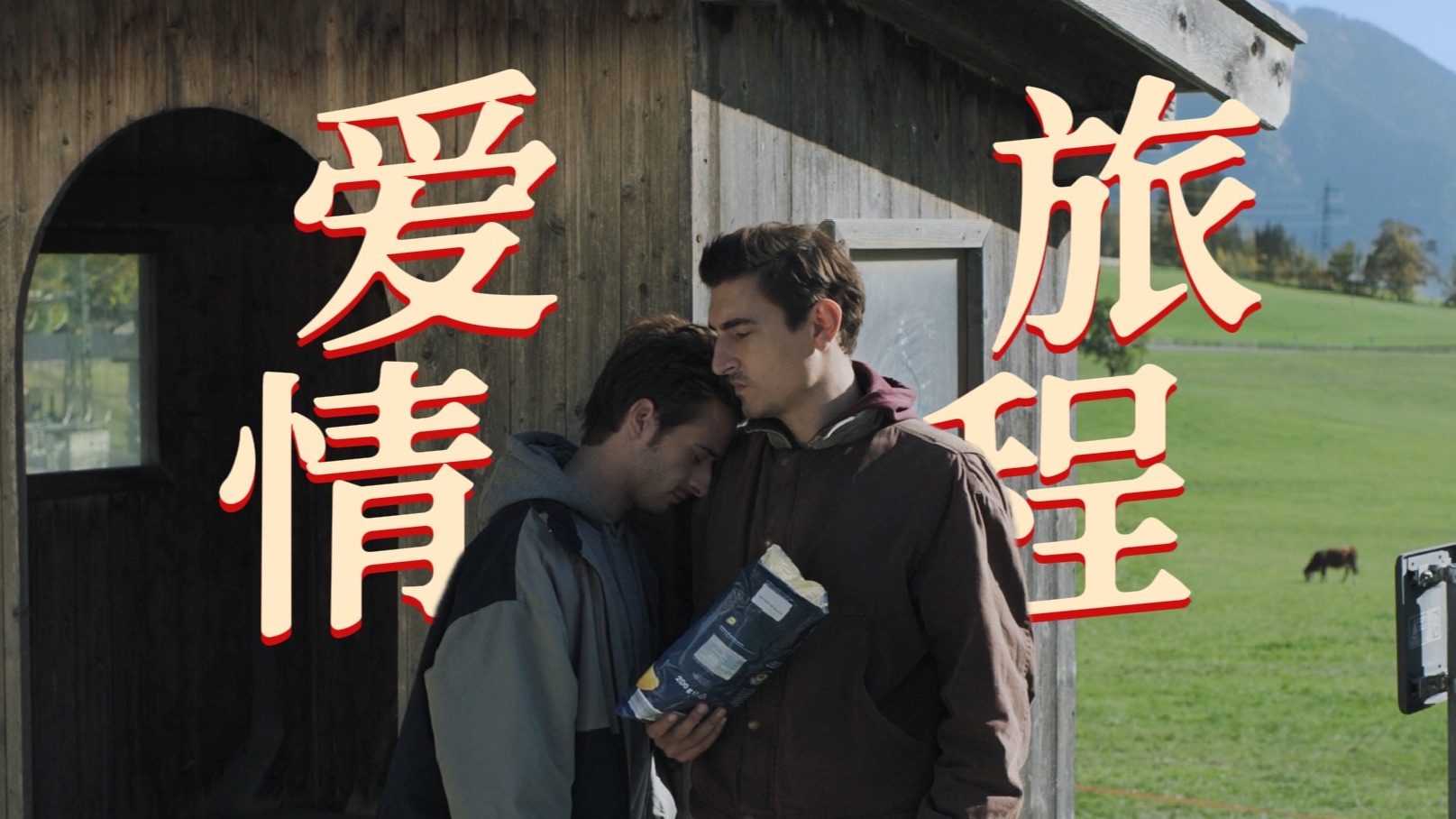 【同影解说】爱情与亲情的答案从何而来？《有答案的男子》30分钟解读一场公路旅行