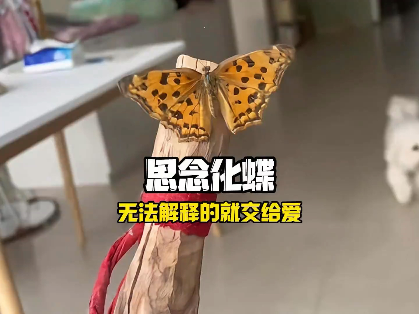 如果没有轮回那这三个又算什么呢！