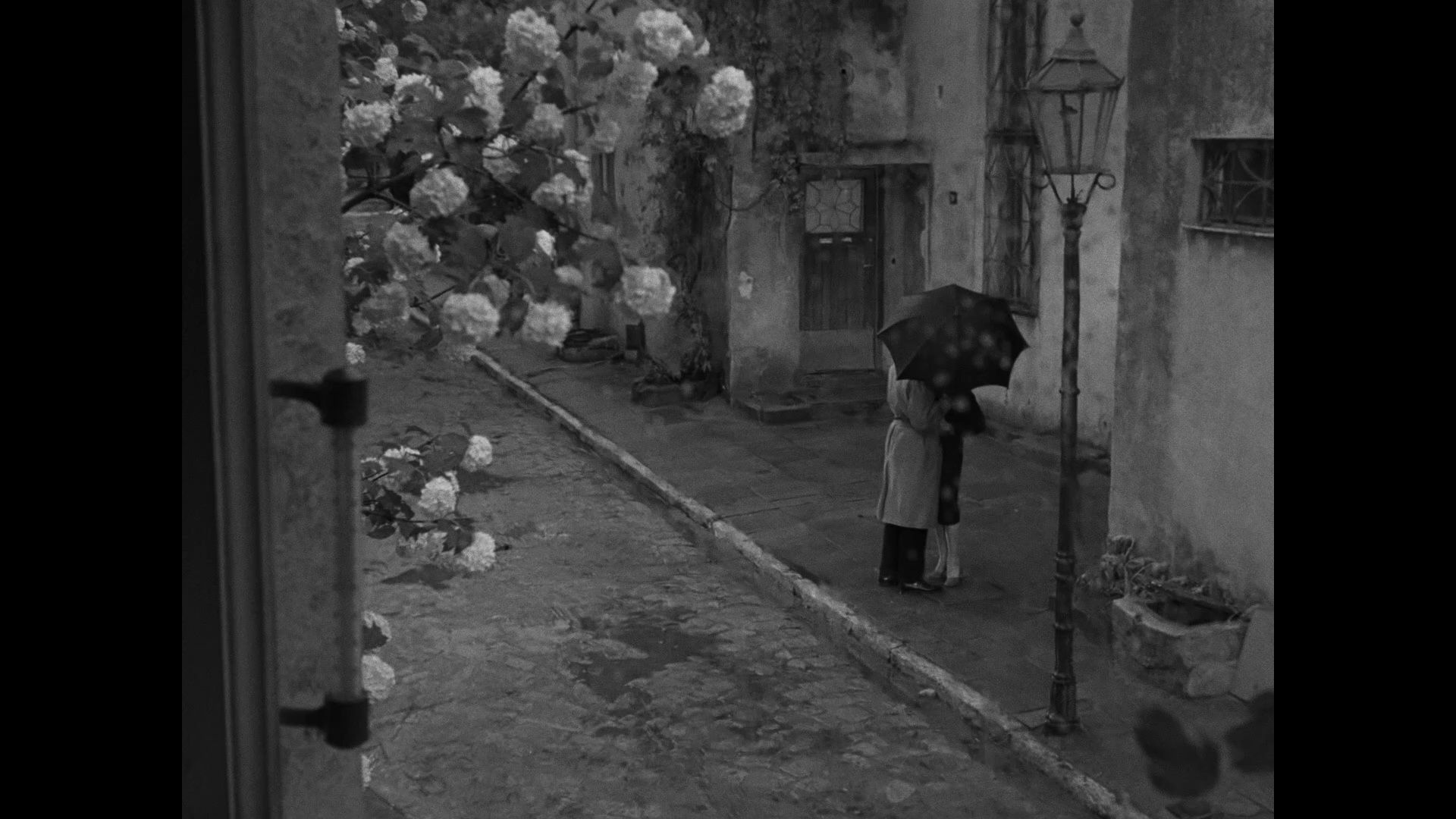 【英字】再见 Pożegnania / Farewells (1958)