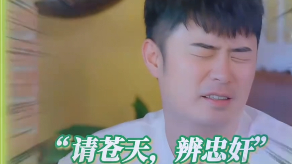 陈赫有多冤只有王玉雯知道！