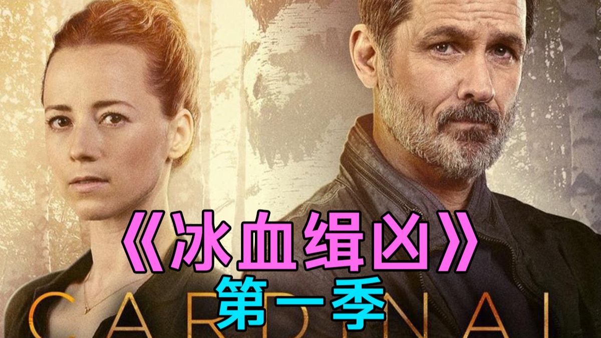 《冰血缉凶》第一季（全6集）