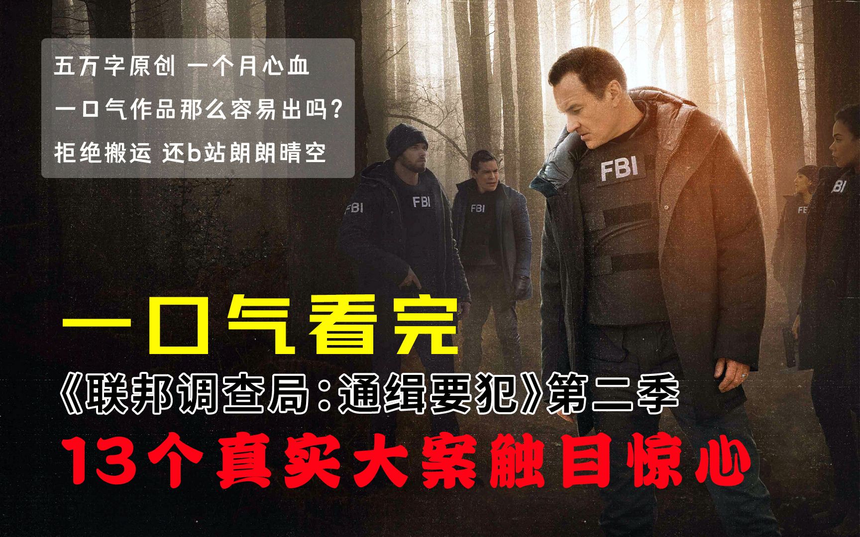 一口气看完《联邦调查局：通缉要犯》第二季，13桩重案真实震撼，5万字原创解说