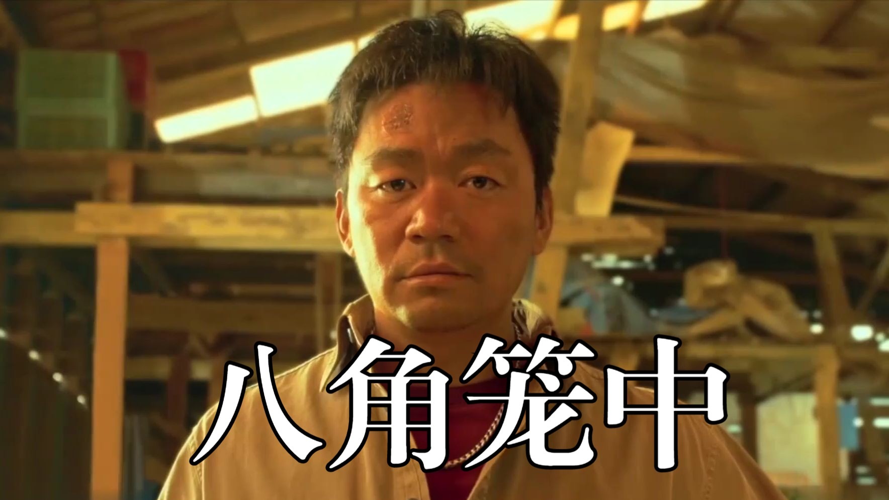 电影《八角笼中》再一次认识王宝强，请不要让任何人，偷走你的梦想！