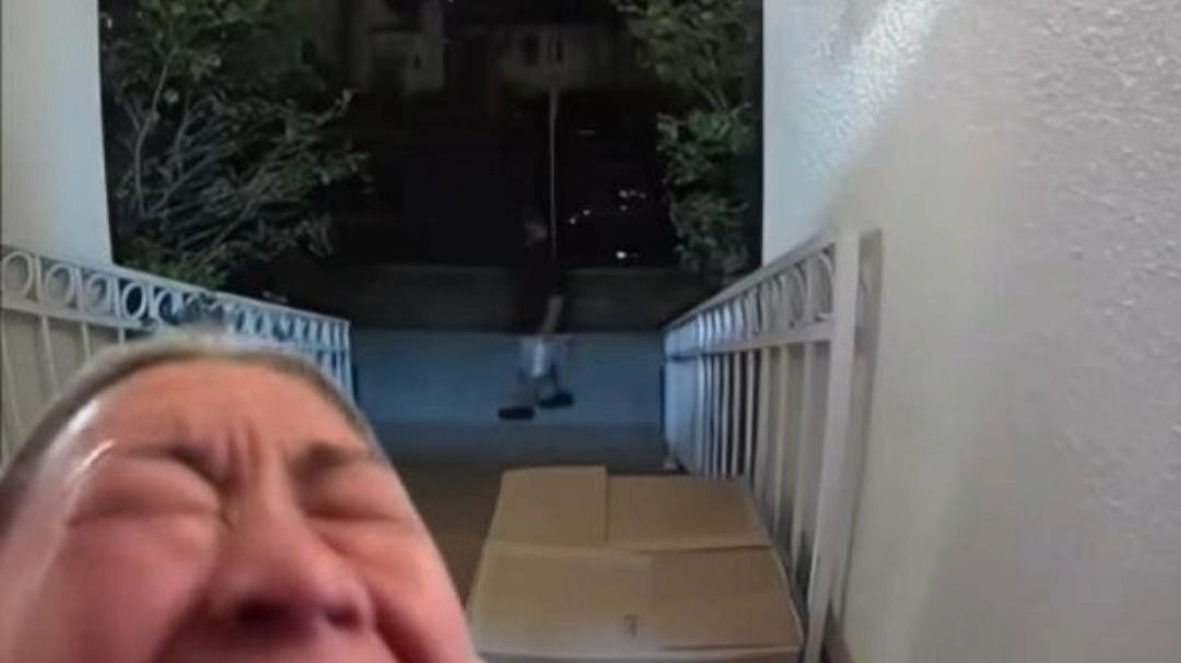 监控拍下最可怜的小偷，伤害性不大，侮辱性极强😂
