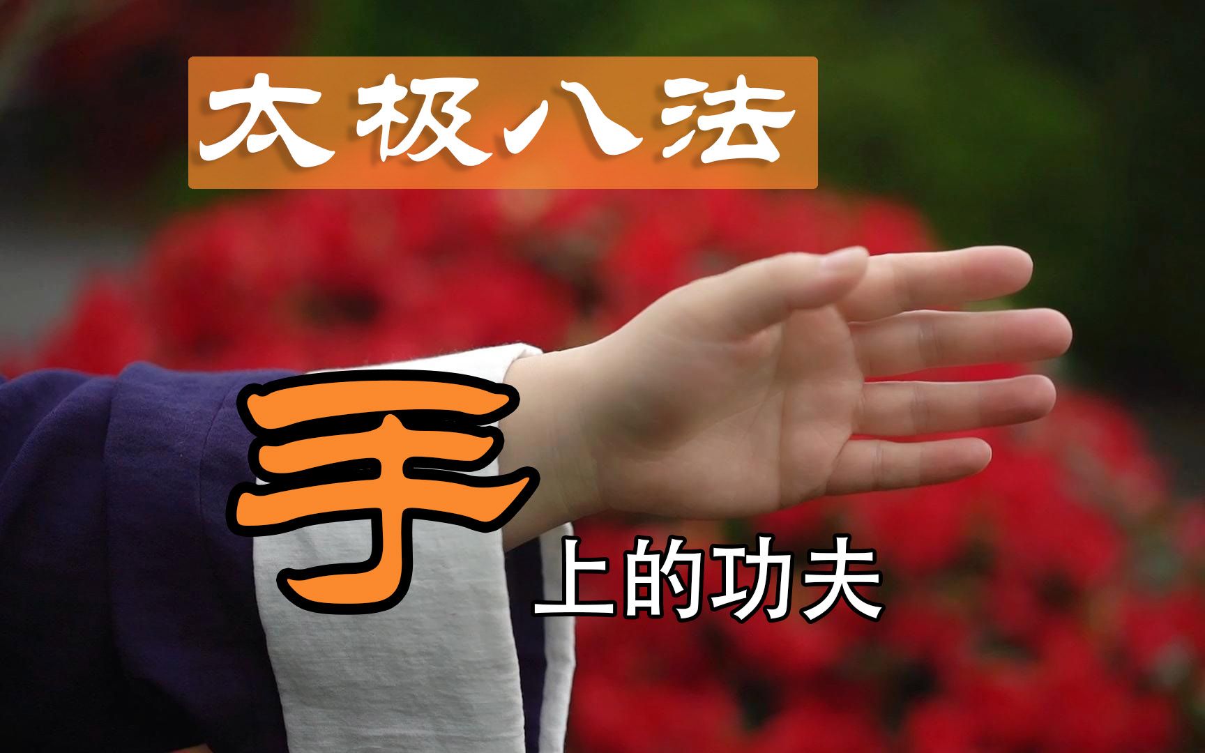 太极八法详细解析，太极上部身法，千变万化手上的学问