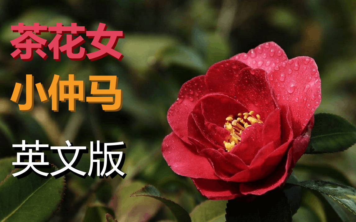 【英文有声书】小仲马：茶花女 [世界文学名著][法国小说][爱情故事]