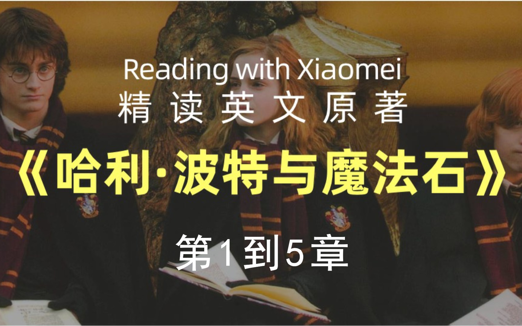 逐字精读英文《哈利波特与魔法石》第1到5章