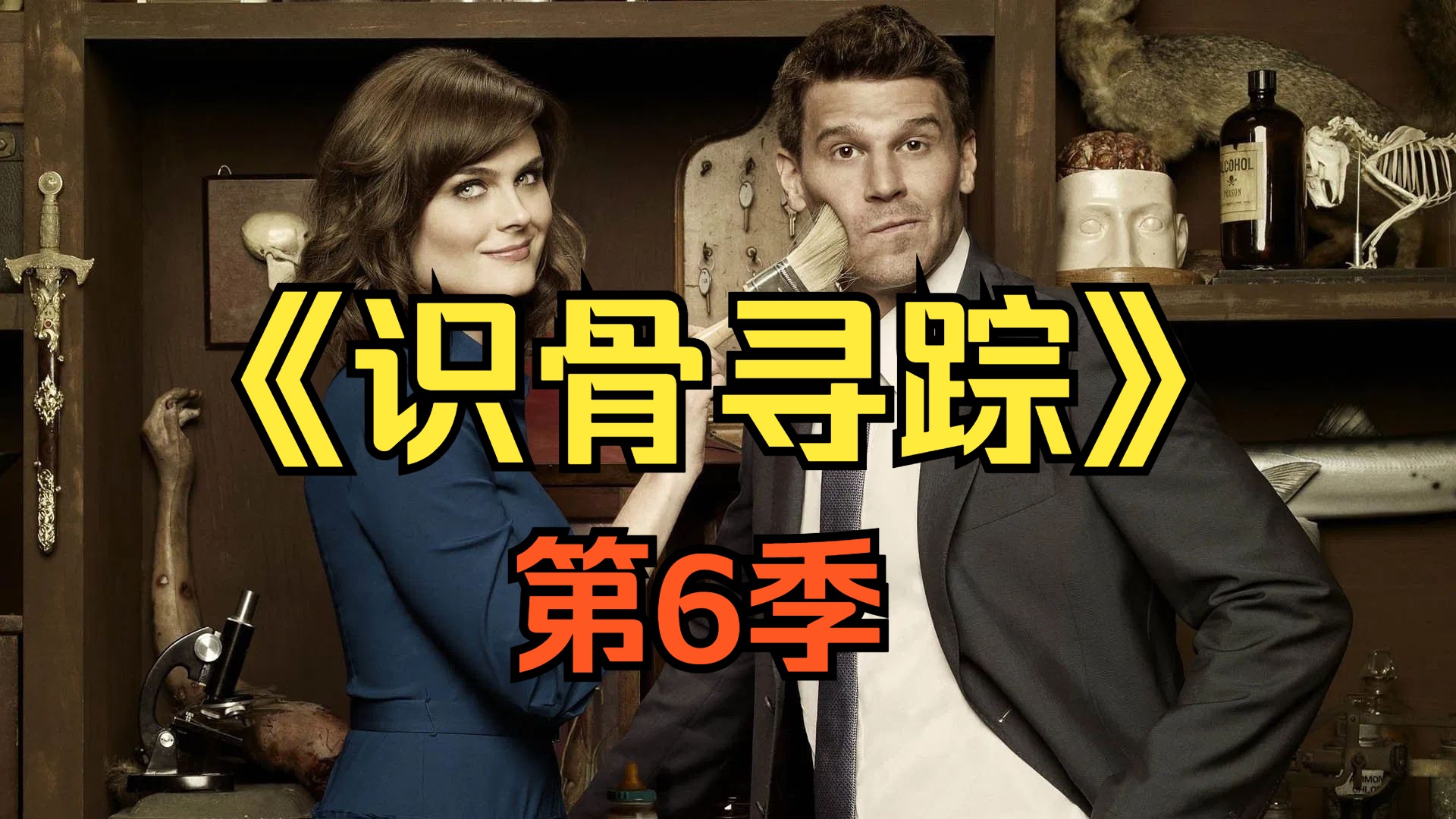 [电视剧] 2010年美剧《识骨寻踪》第6季 (Bones Season 6)「共23集」