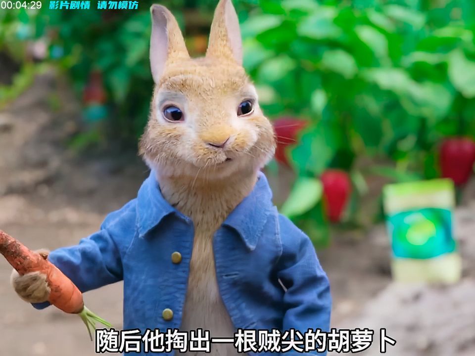 一口气看完喜剧电影《比得兔》