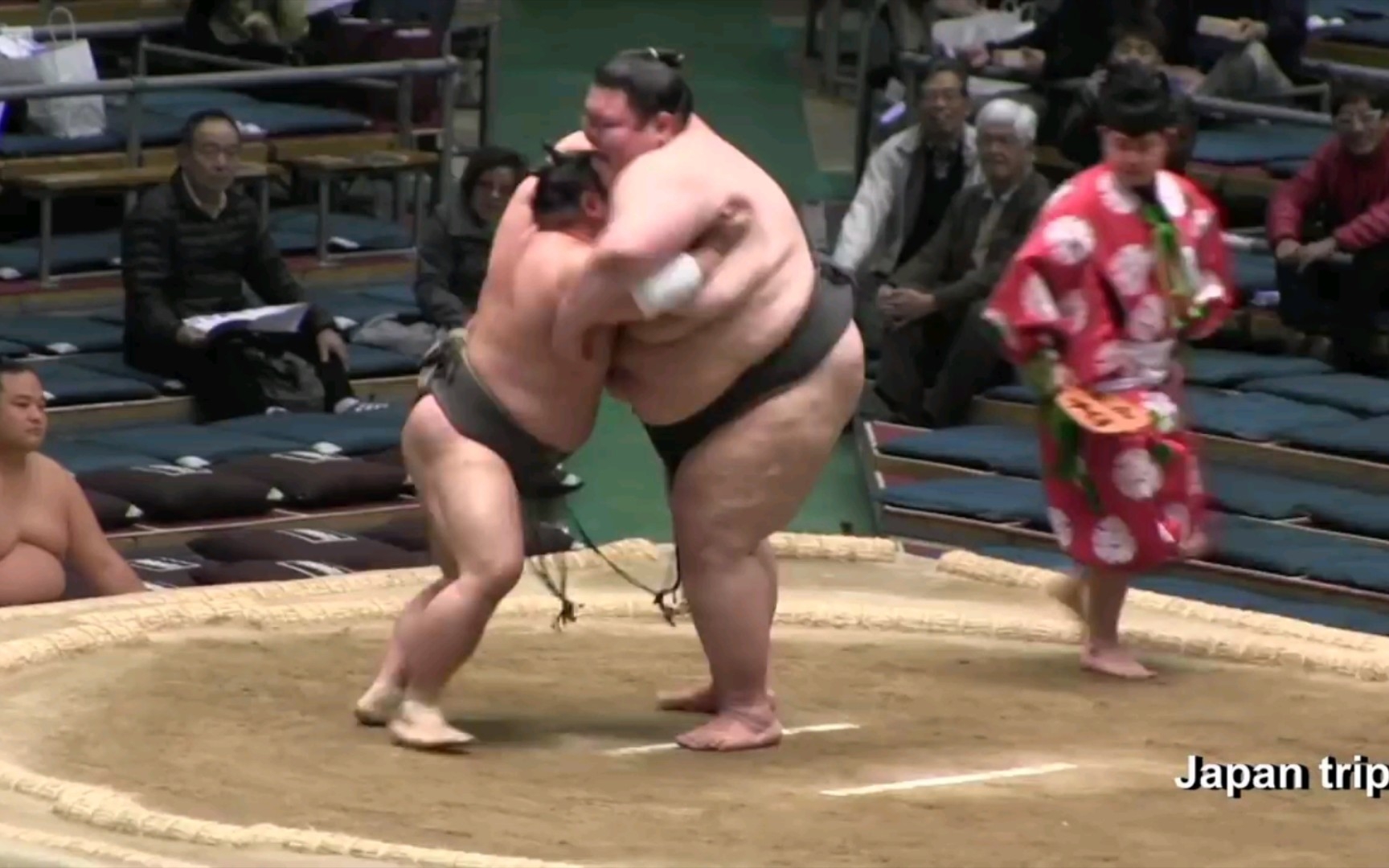 【相扑对决】小錦を抜いて歴代最重量力士 大露羅 vs 春光 2017春場所3日目