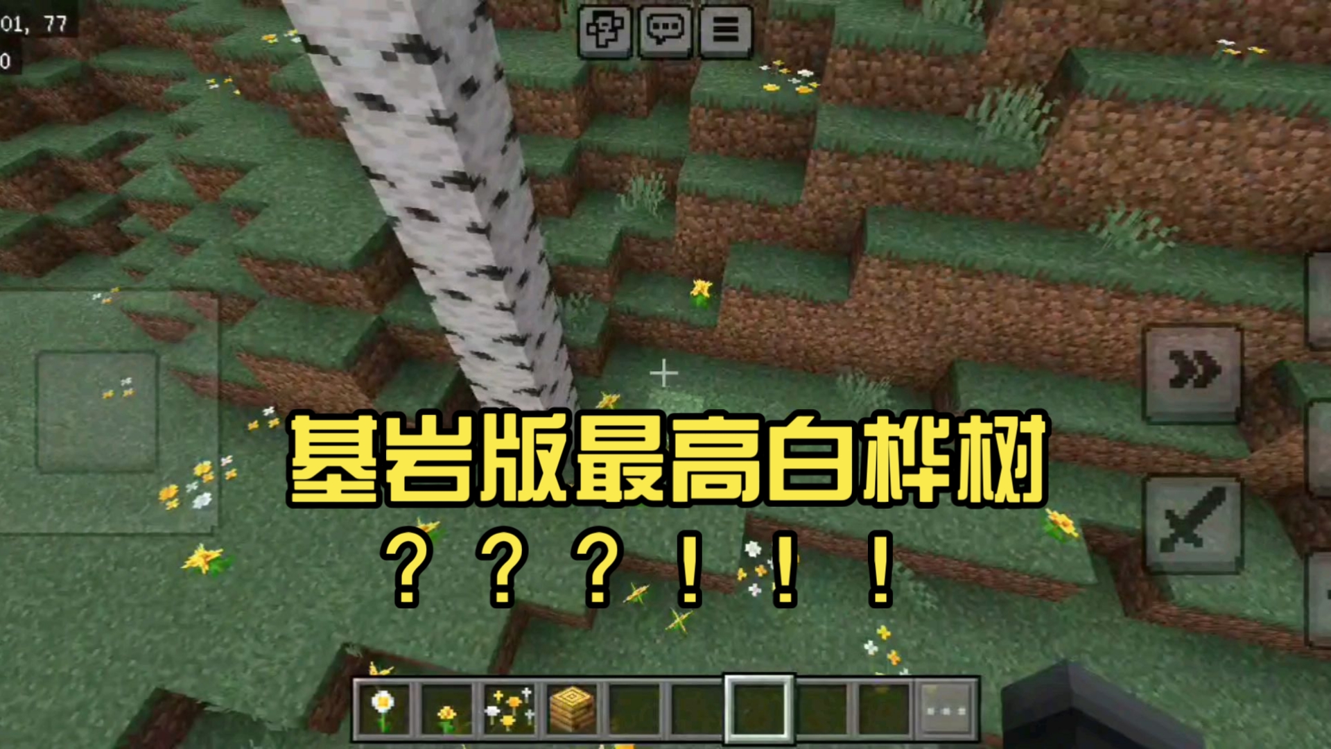 基岩版树干最高白桦树？？？！！！😱