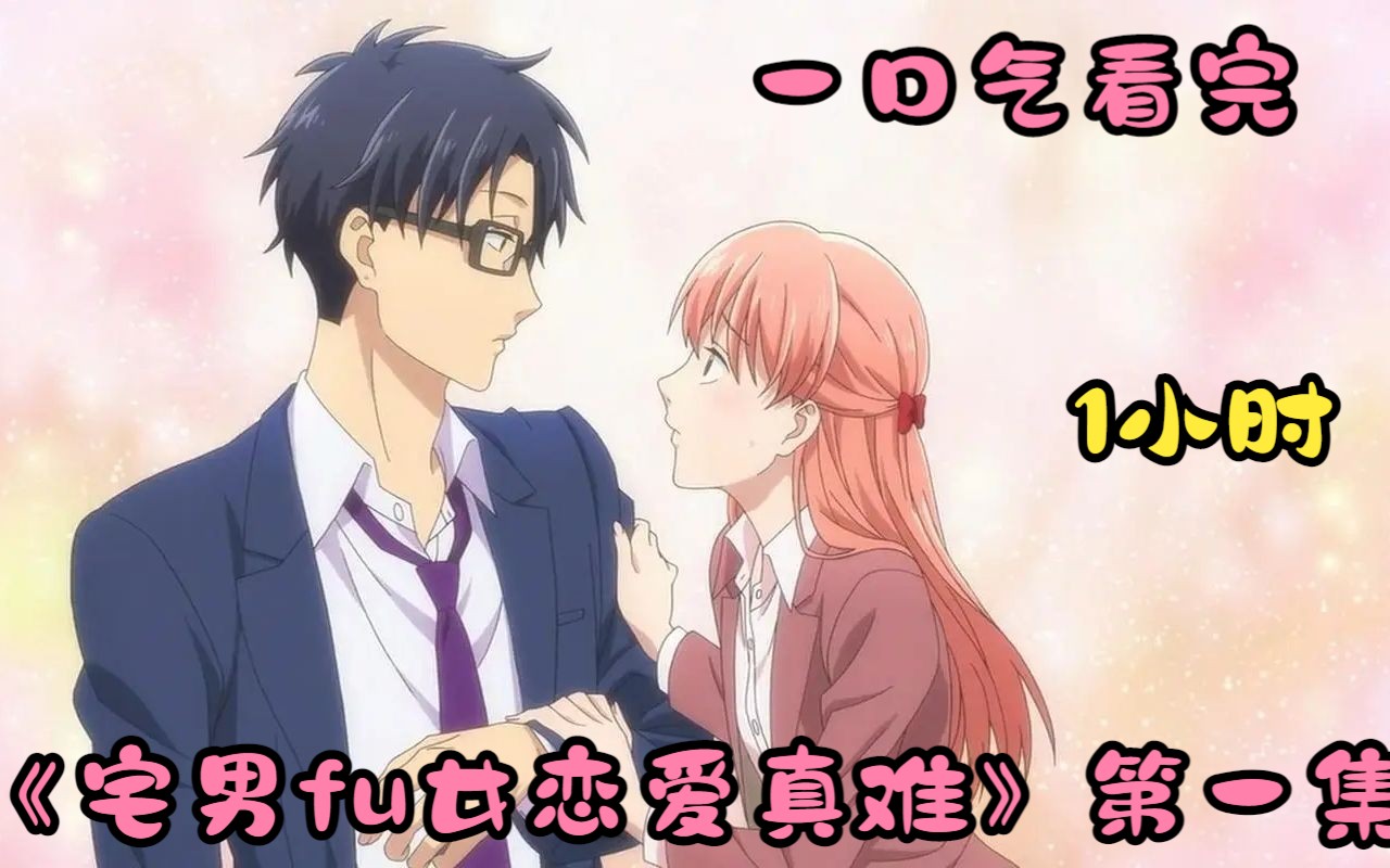 【1小时】一口气看完《宅男fu女恋爱真难》