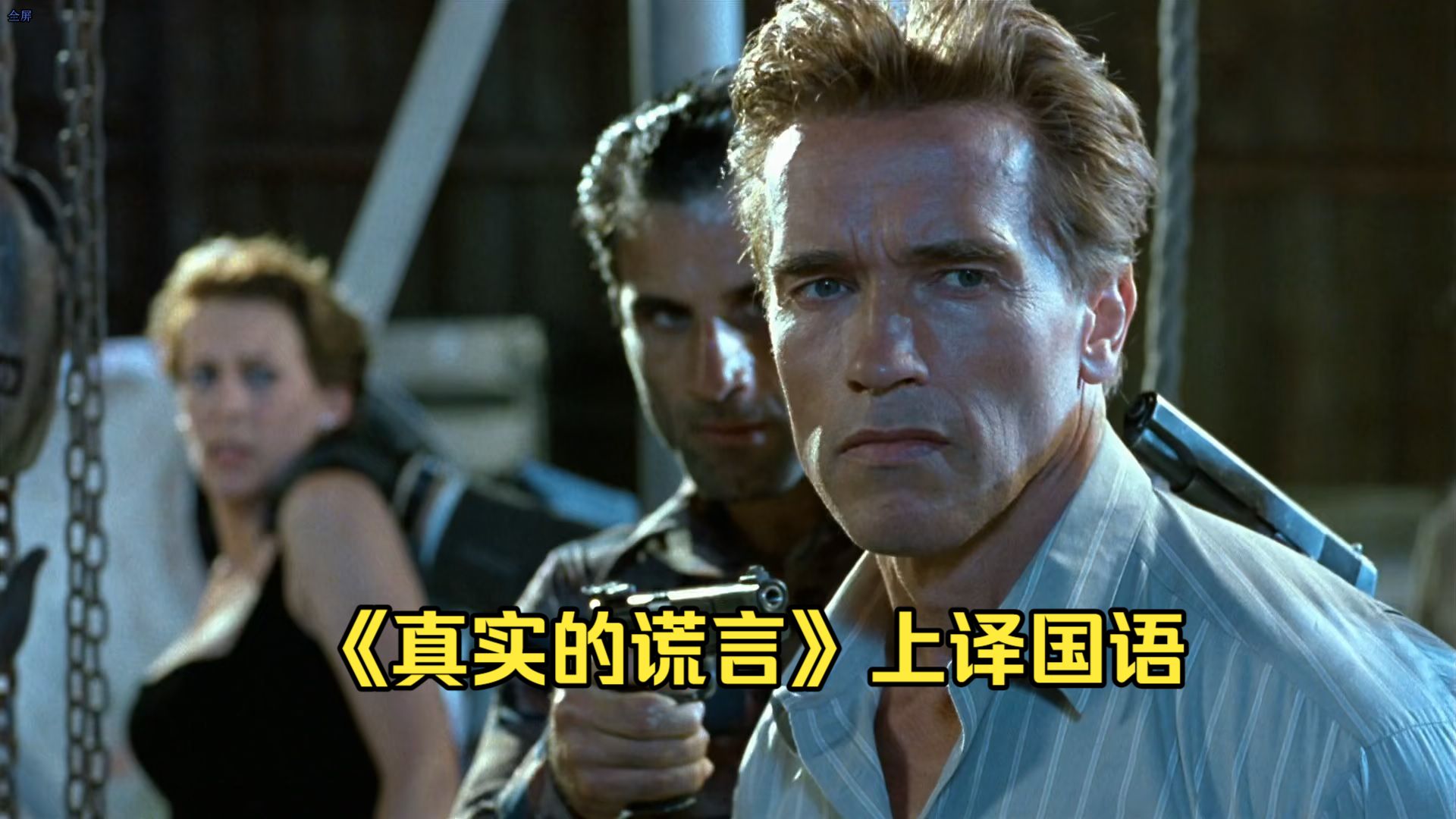 《真实的谎言》上译国语