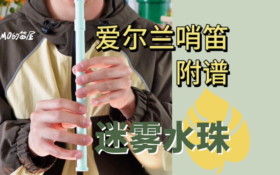绝了！《迷雾水珠》爱尔兰哨笛|附谱