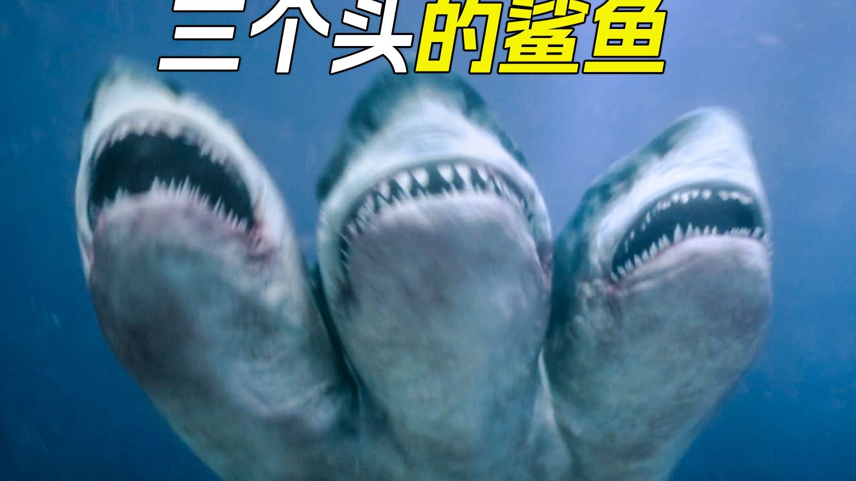 大海中出现三个头的鲨鱼，疯狂地攻击人类