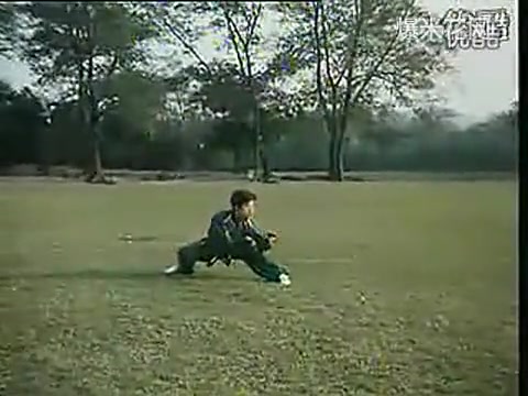 象形拳狗拳 螳螂拳 猴拳 醉拳 鹰爪拳 蛇拳
