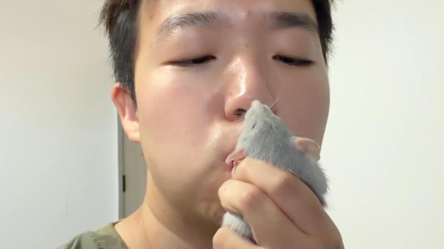 阿姨回老家,自己喂动物的一天