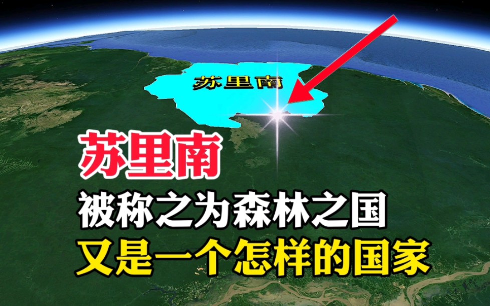 苏里南，被称之为森林之国，又是一个怎样的国家