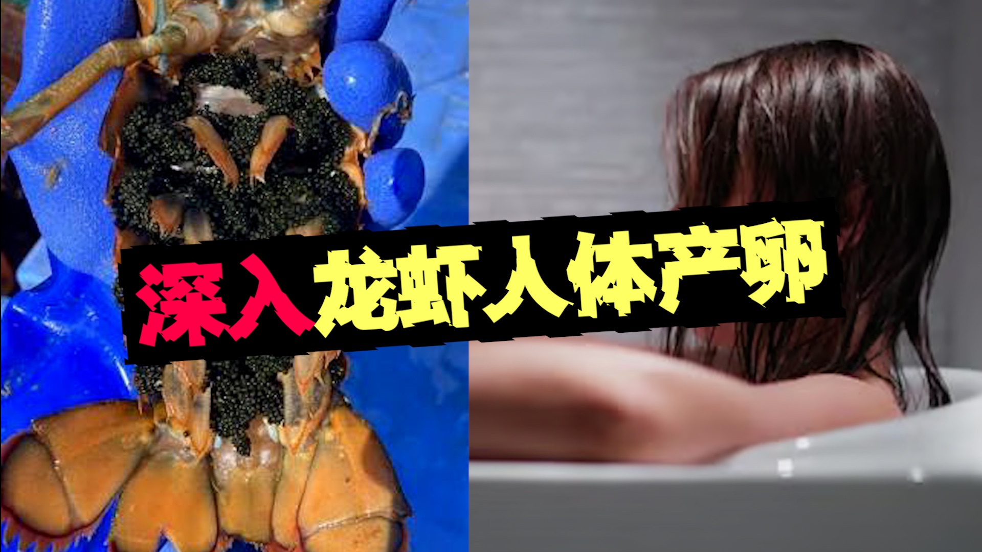 【龙虾女】女子拿龙虾寻乐致死，这是她身体发生的变化。。。