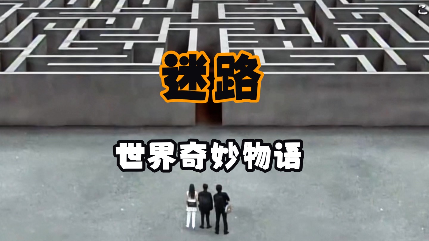 《迷路》世界上最大的迷宫迎来了三位访客~~