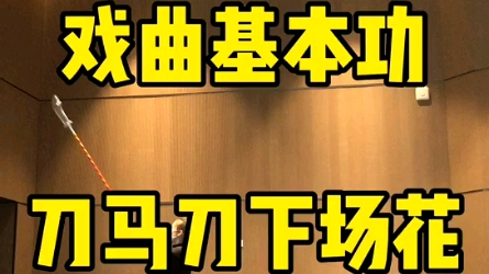 戏曲基本功 刀马刀下场花