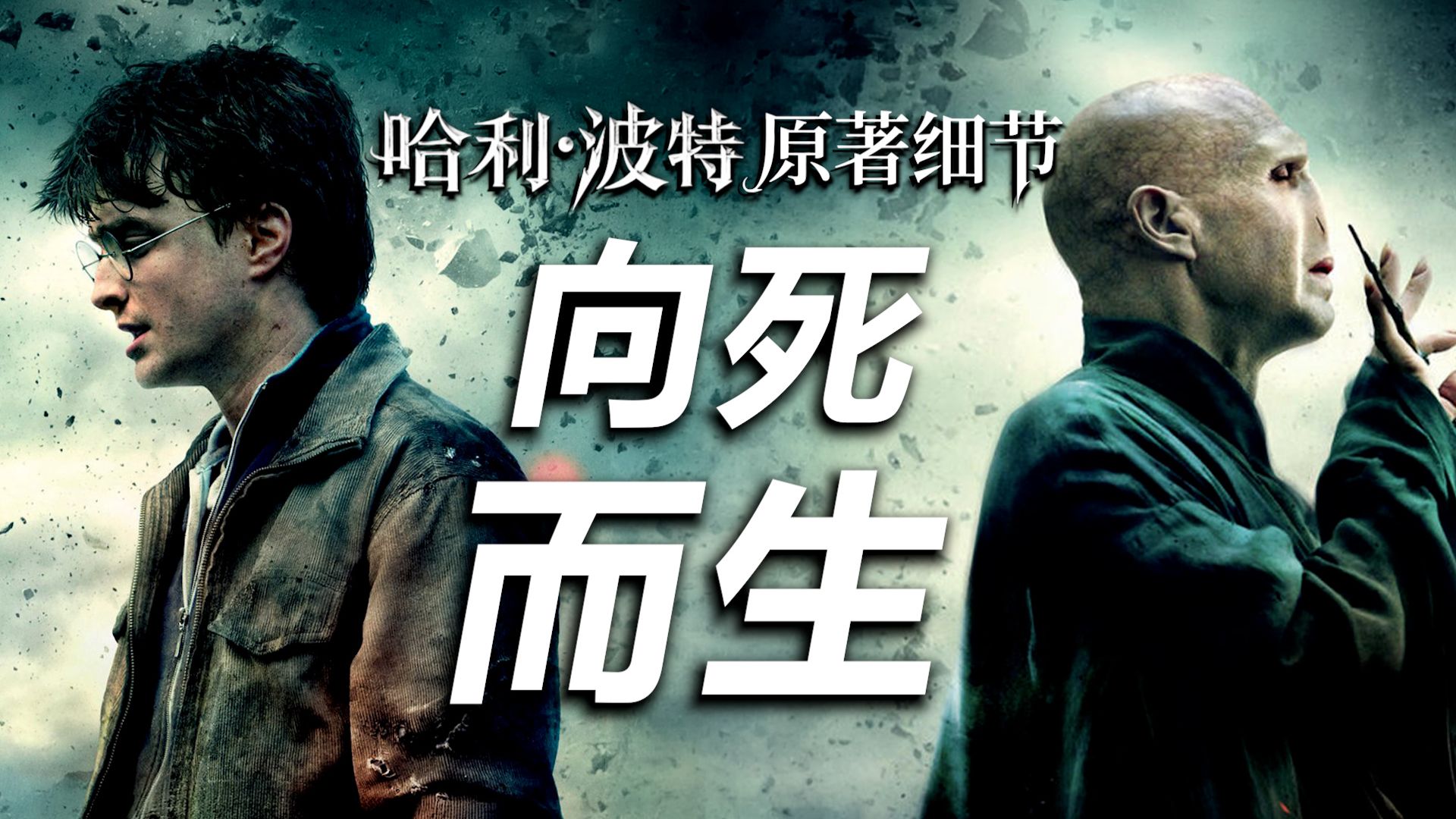 【HP】他从地狱归来——予生者希望，为逝者安魂！|《死亡圣器》原著细节大结局【哈利波特十级学者】