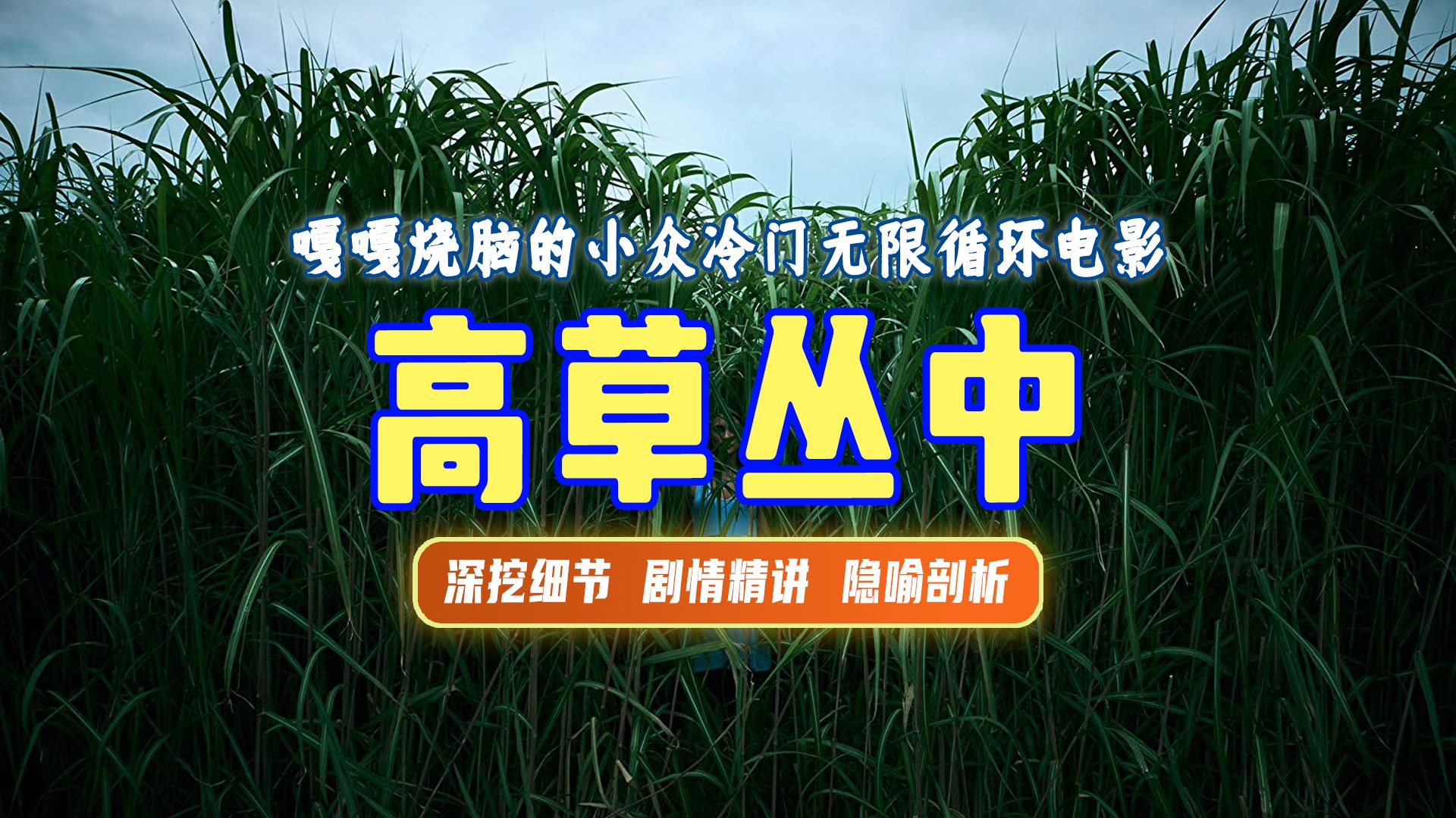 终极解读丨《高草丛中》无限轮回的草丛，唯有救赎方可解脱