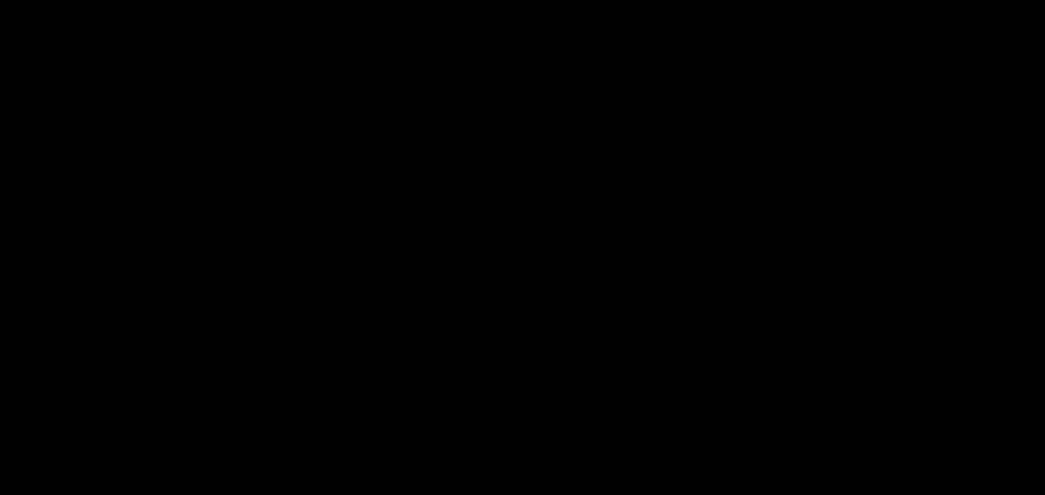 瞳孔中的暗杀者普通话版