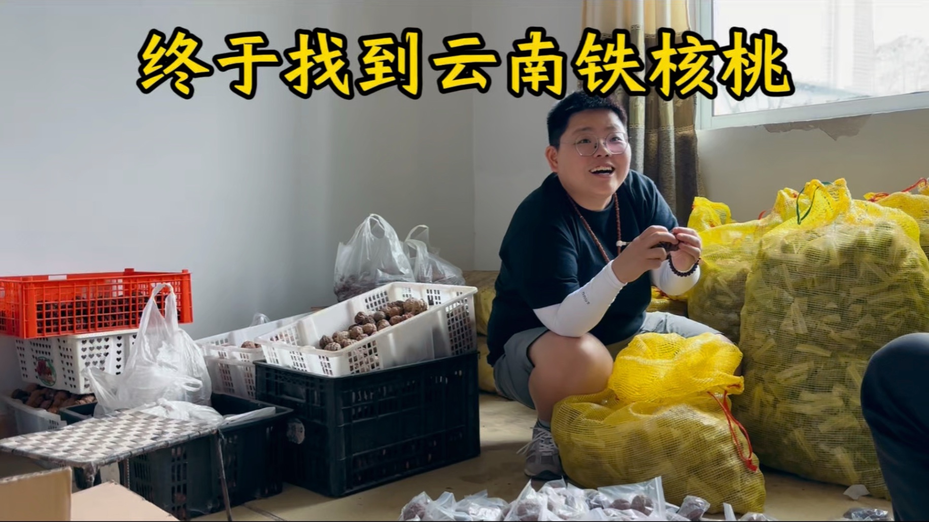 在云南寻觅了两年的铁核桃终于找到了！超级开心！
