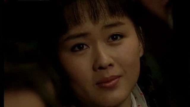 李琳经典影视剧：《趟过男人河的女人》