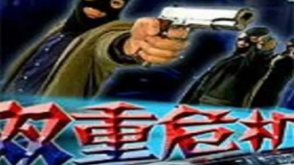 双重危机 1999电影 上下两部
