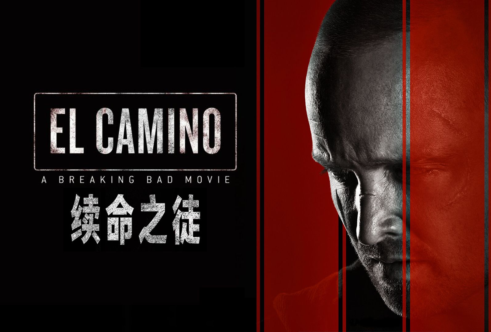 【墨菲】《绝命毒师：续命之徒》：再见杰西·平克曼，启程「最后的边疆」