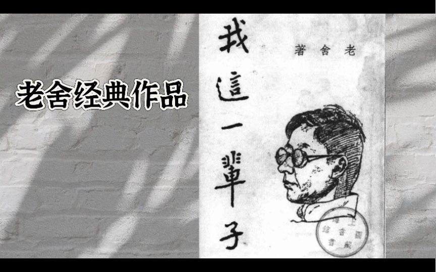 老舍经典小说《我这一辈子》怀旧经典，助眠！