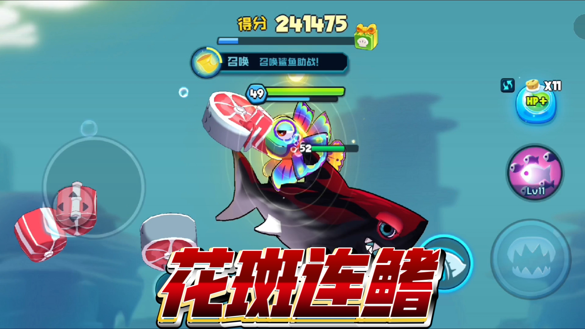 【鱼吃鱼】珊瑚海独行侠，花斑连鳍