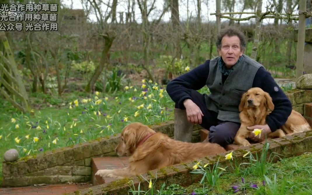 BBC园艺世界S51E04.中字.@光合作用种草菌