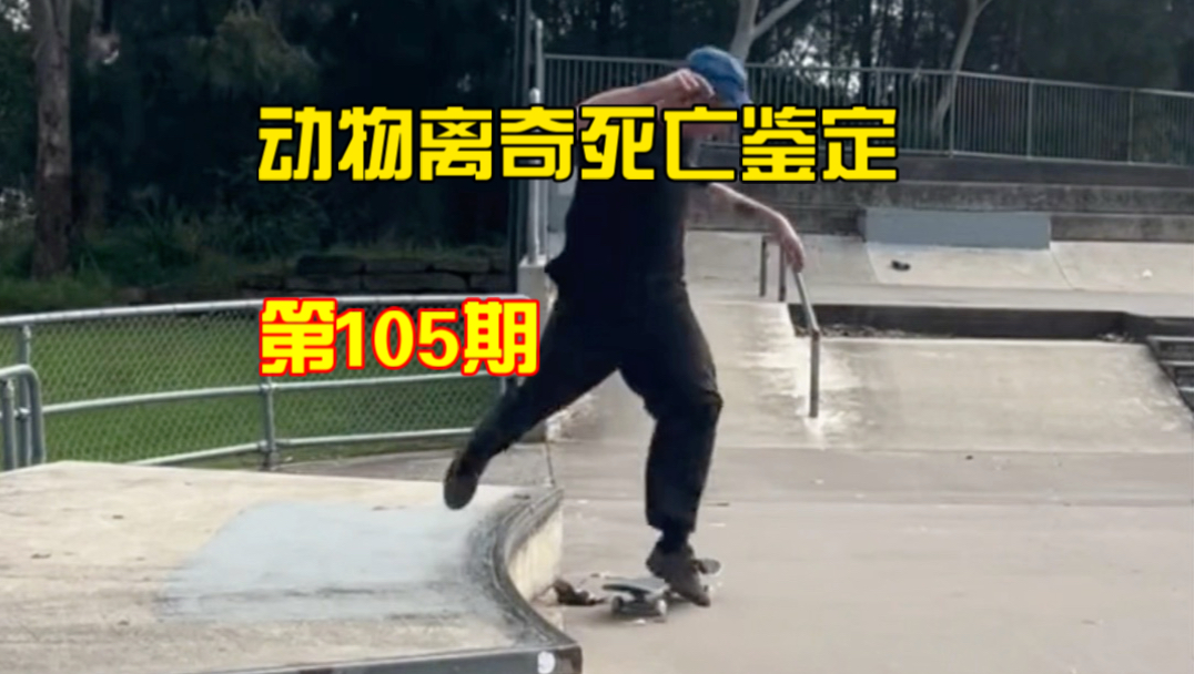 动物离奇死亡鉴定第105期