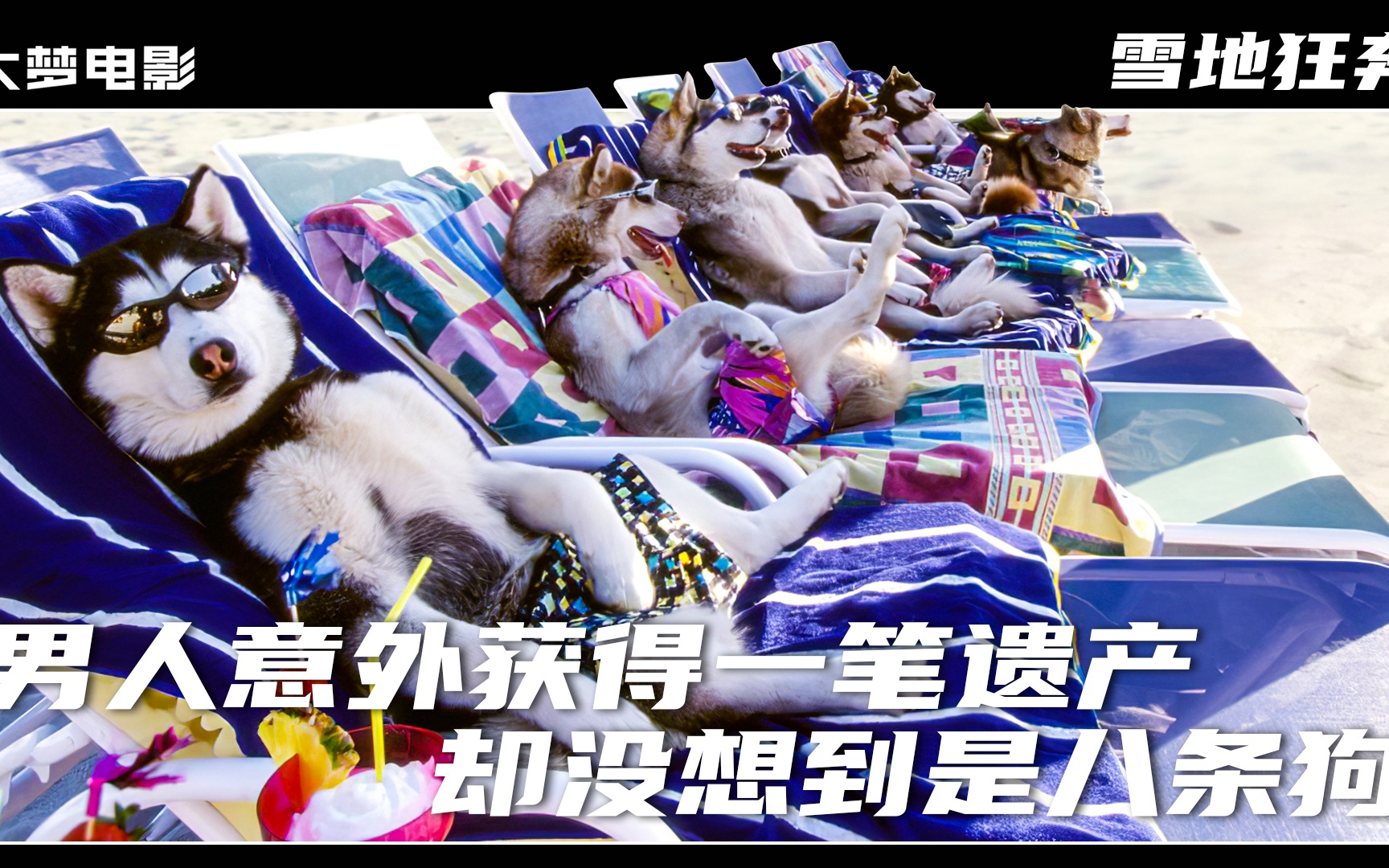 男人意外收到一份遗产，可他前去收取时才发现，遗产居然是雪橇犬