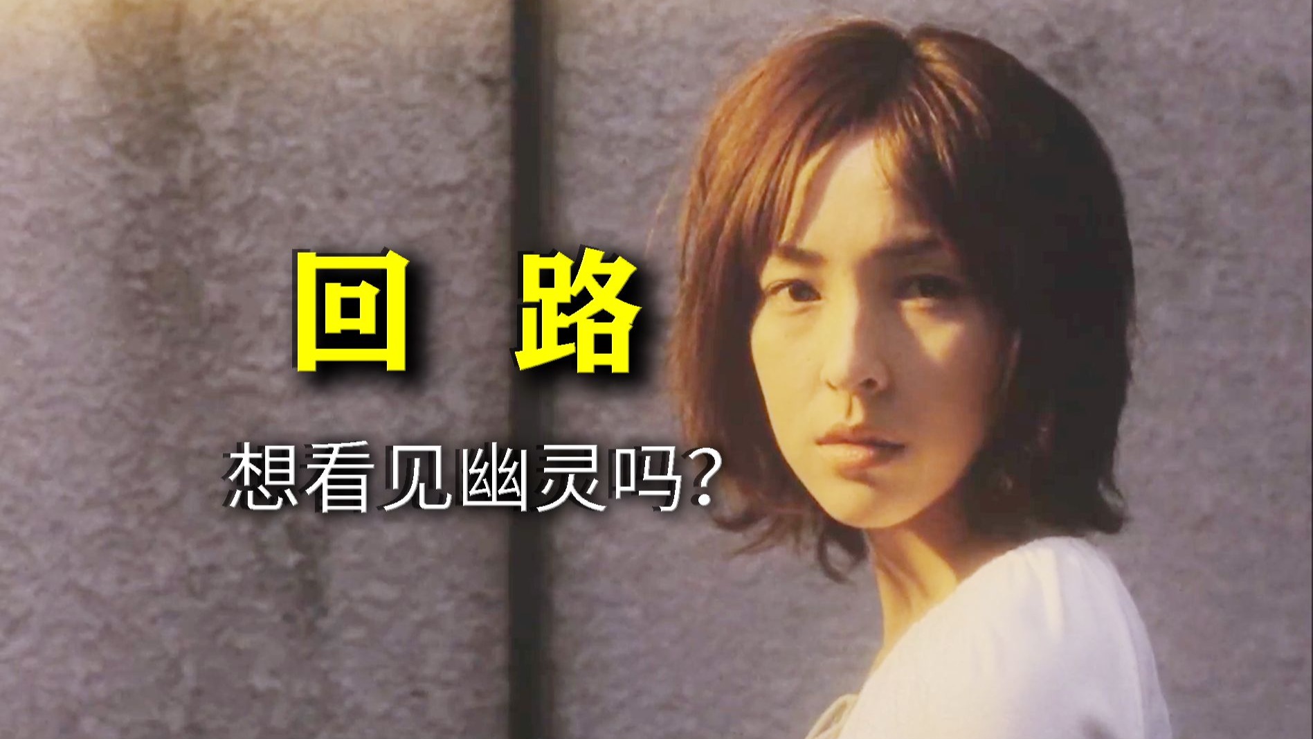 “当幽灵的生存空间被挤压，它们就会入侵人类世界……”—— 日恐《回路》超详讲解 真人解说/高能厚码