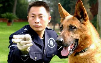 【纪录片】见证 警犬出击