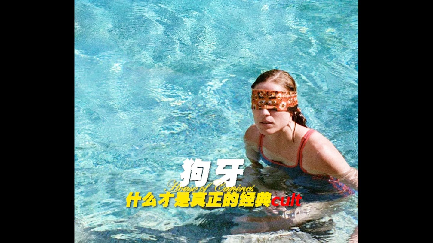 “世界怎么样 你得自己翻过墙去看”