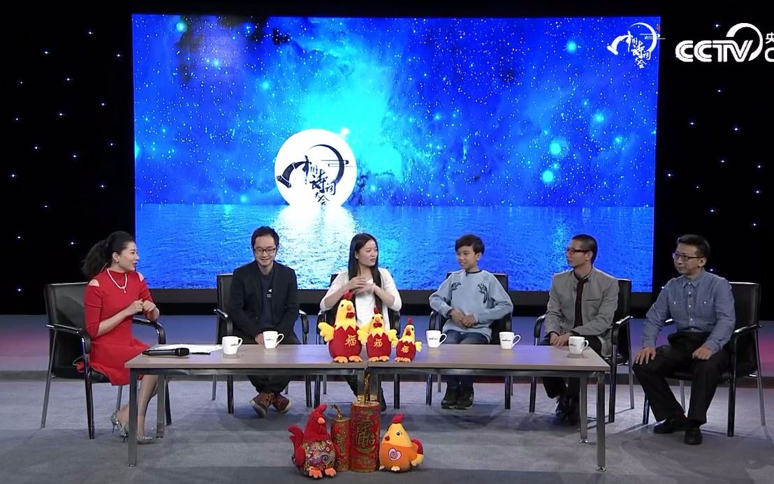【中国诗词大会第二季】人气选手陈更、彭敏、叶飞等访谈（台前幕后花絮）