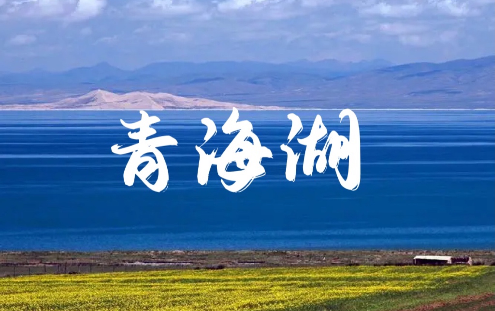 【学地理，看世界】湖泊篇之青海湖——中国内陆最大的咸水湖
