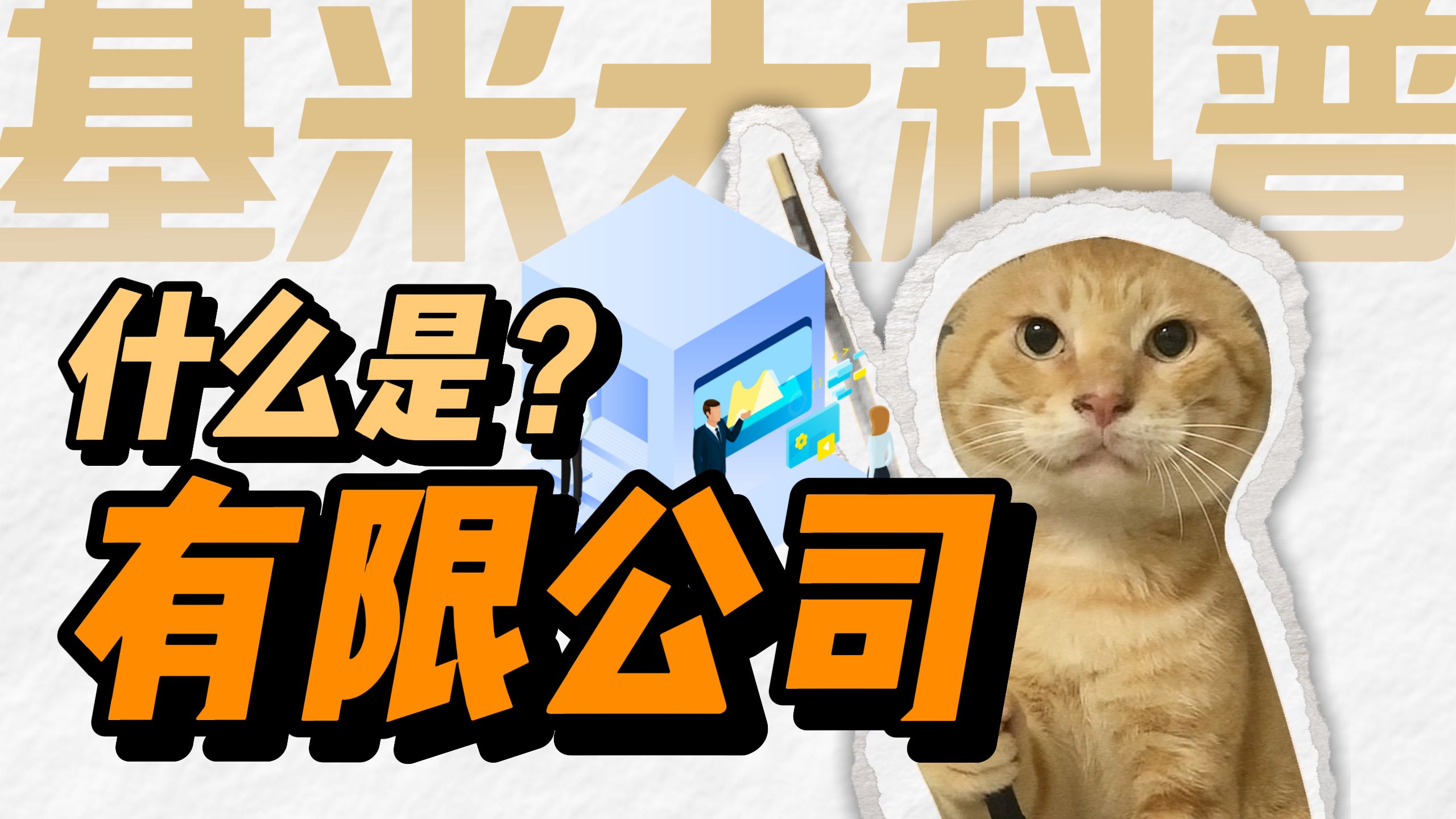 什么是有限公司？
