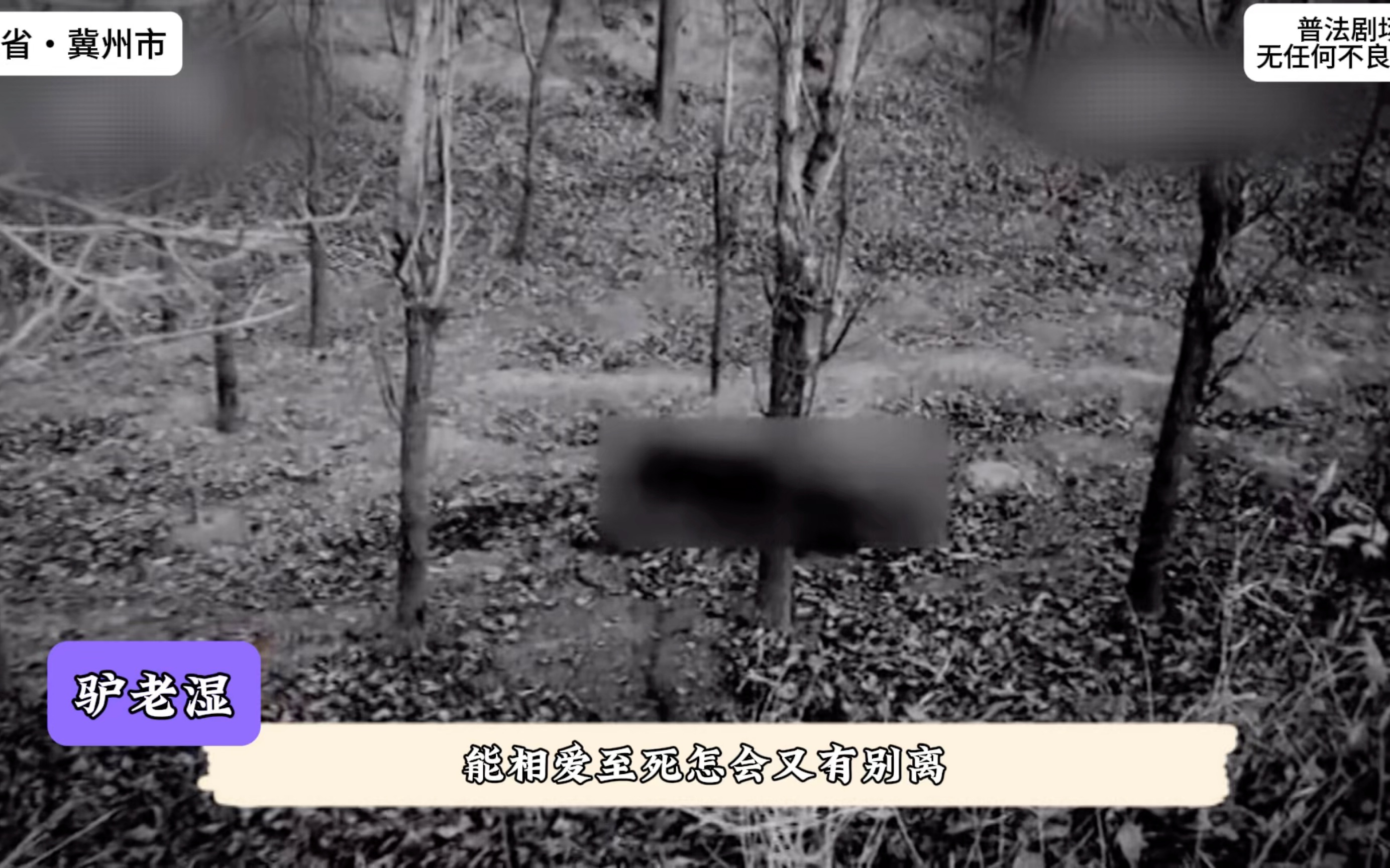 干涸的沟渠里突现烧焦男尸，一段错误的婚姻让全家人受牵连