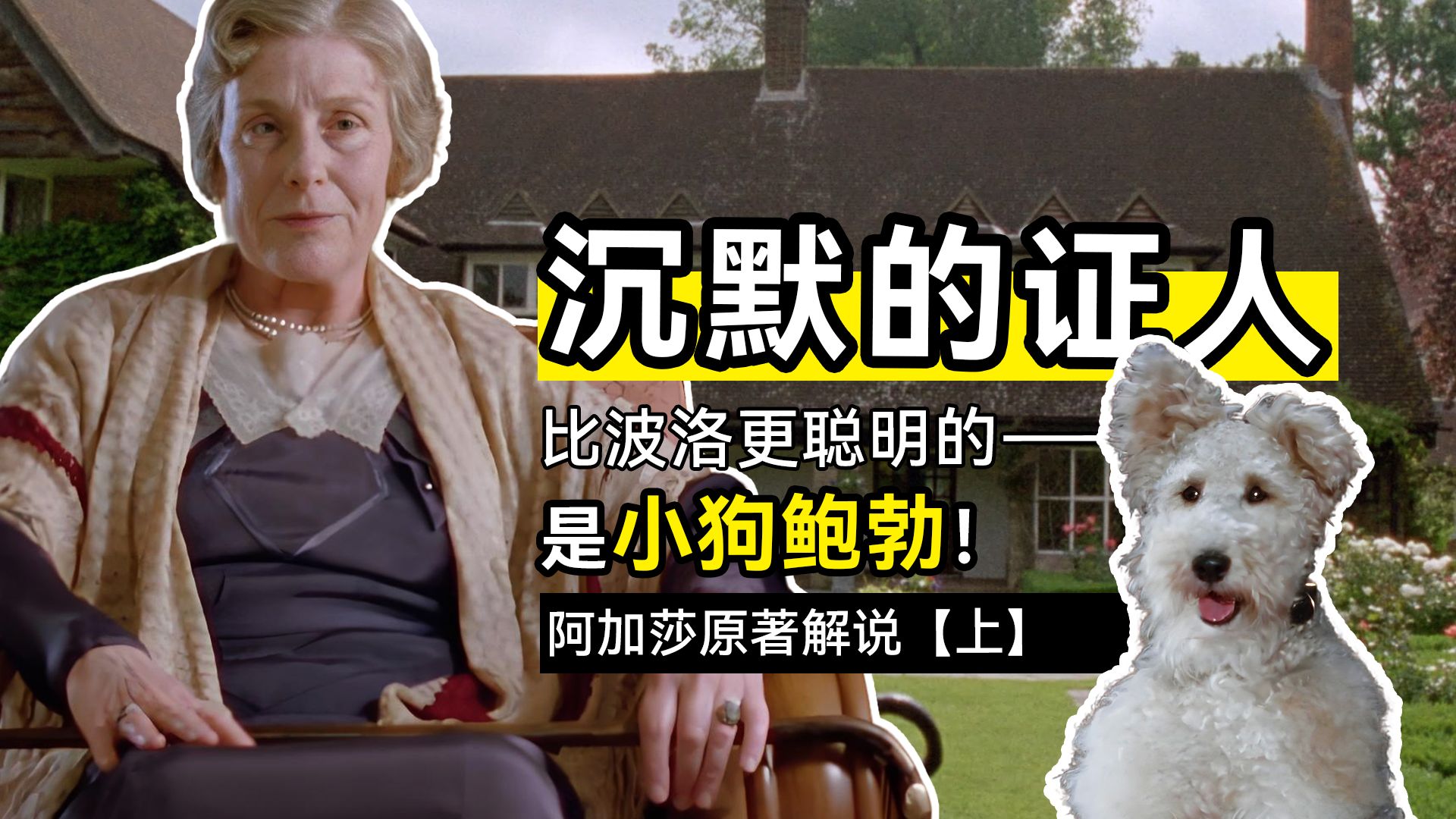 什么？！大侦探波洛还不如一条狗？阿加莎原著解说《沉默的证人》上篇