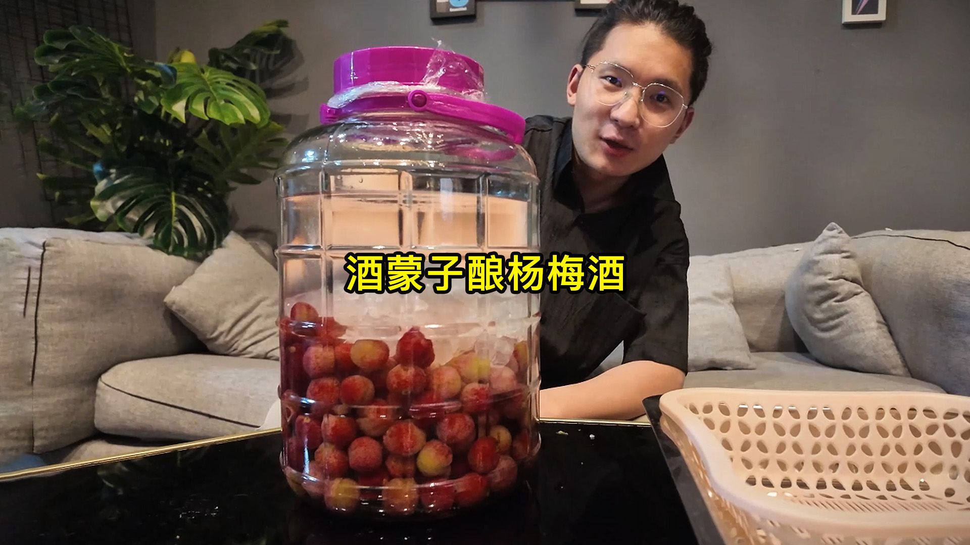 六月杨梅季，来跟酒蒙子一起酿杨梅酒，以后视频喝同款