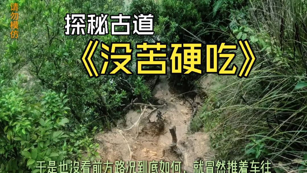 一路没苦硬吃，骑行在路边发现一条古道小路，沉浸式体验探索旅程