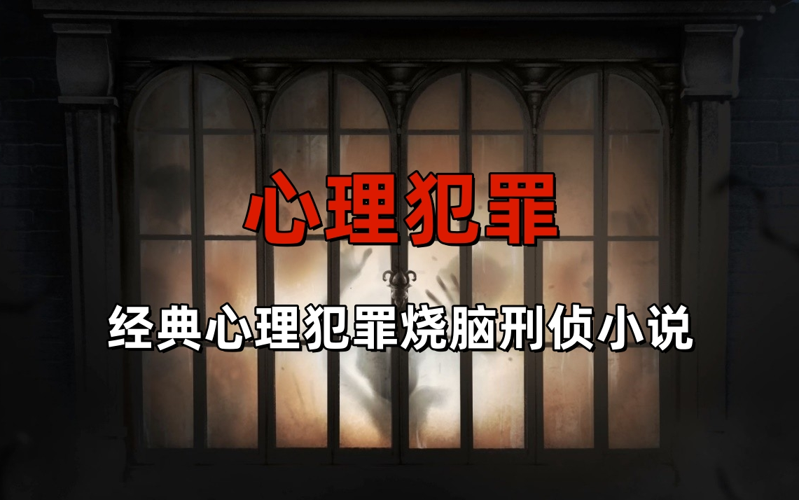 精品小说《心理犯罪》经典心理犯罪烧脑刑侦小说