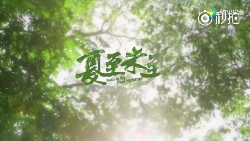 夏至未至花絮