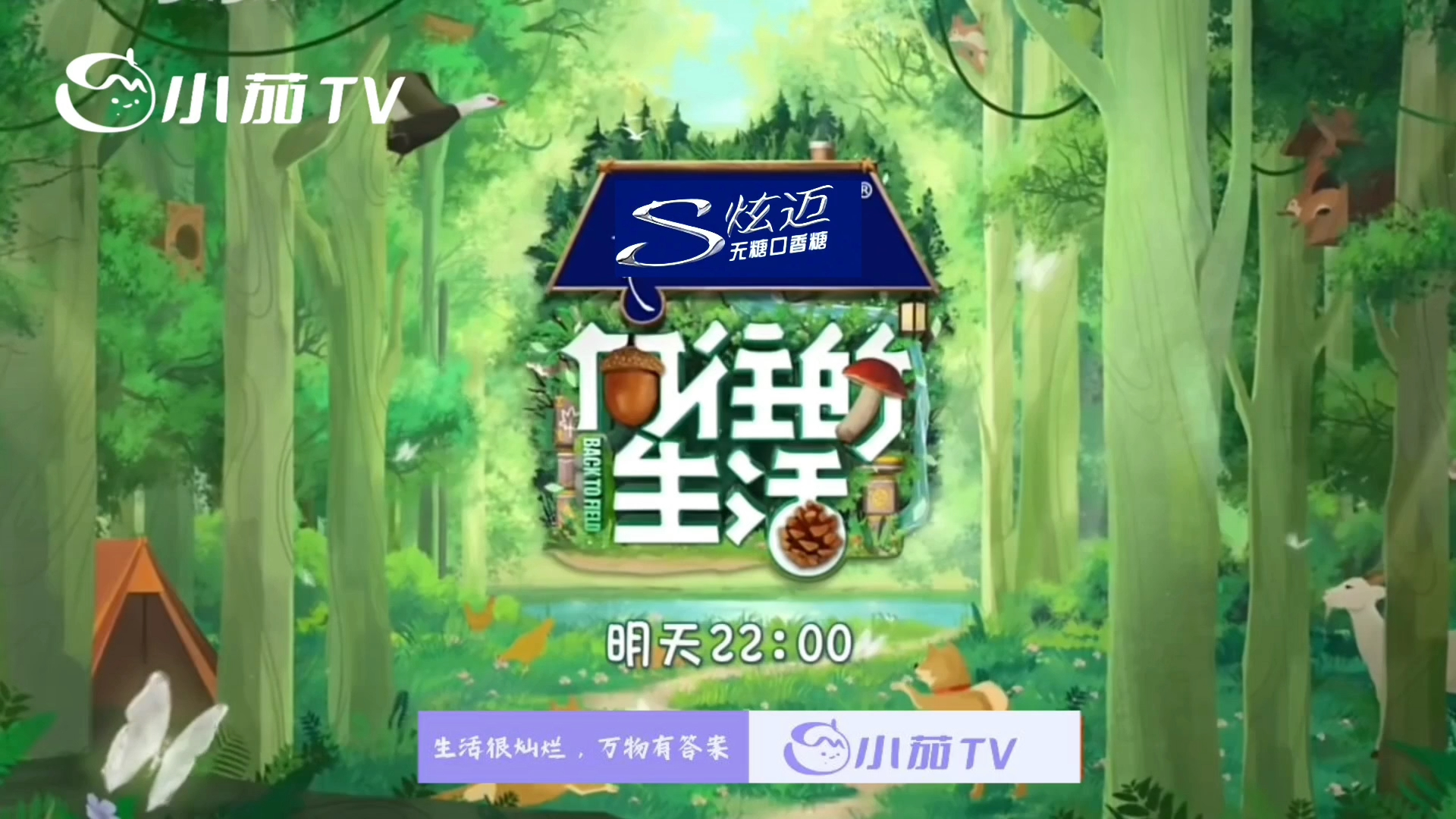 马嘉祺｜慢下来，体验一场向往的生活